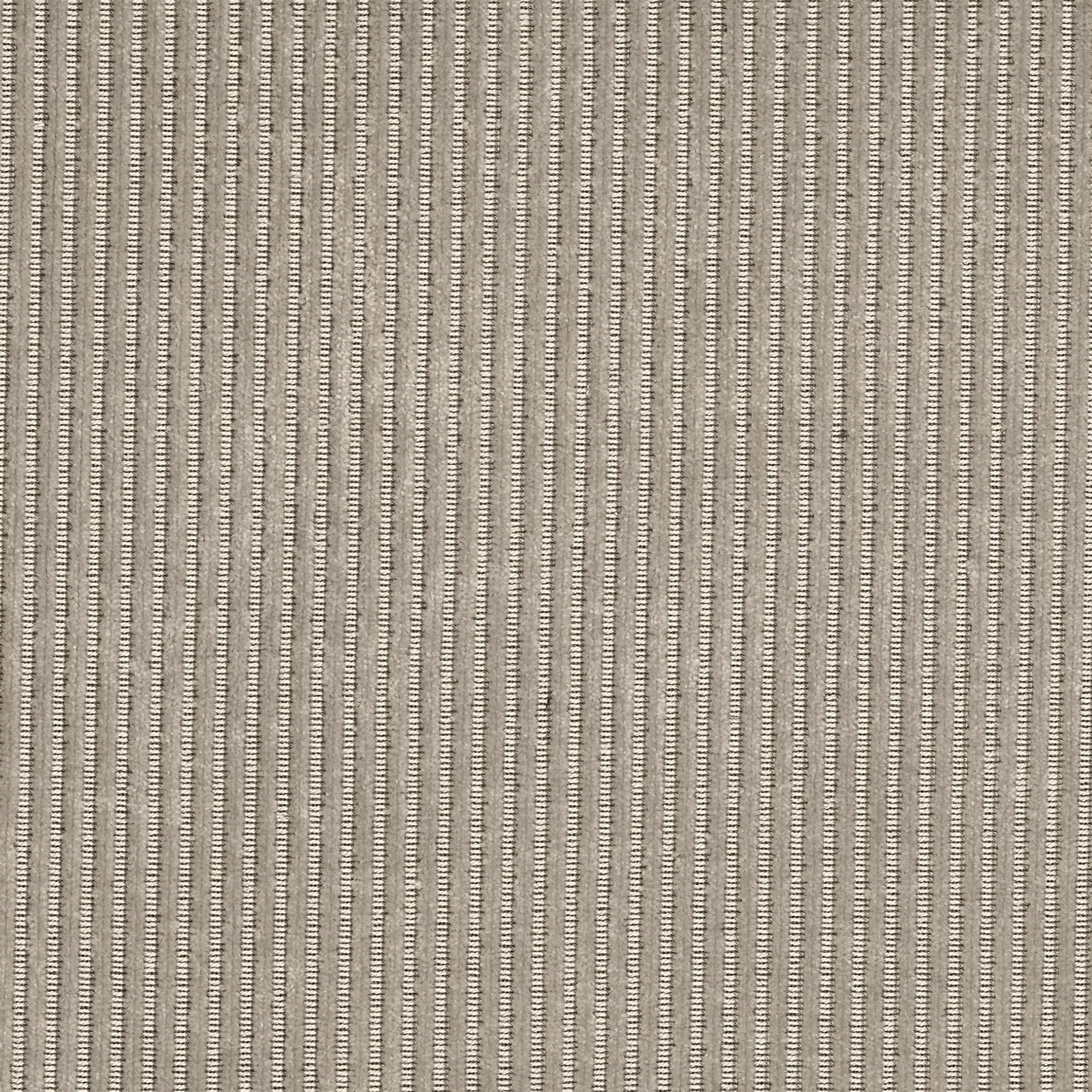 10807663__P_image_116fc10c-8e51-4e78-88b7-b3b8a795d970