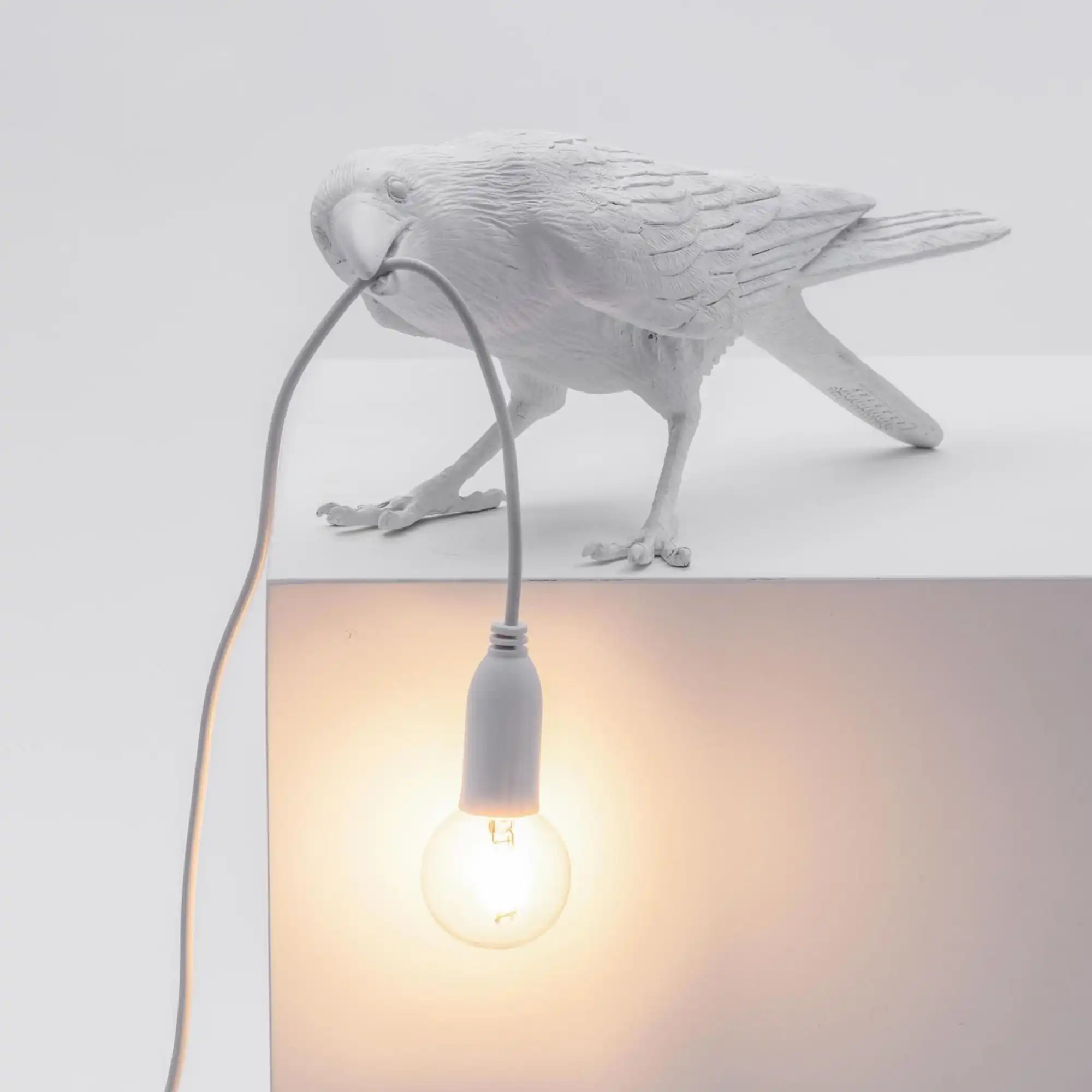 Bird Lamp Playing - Vit