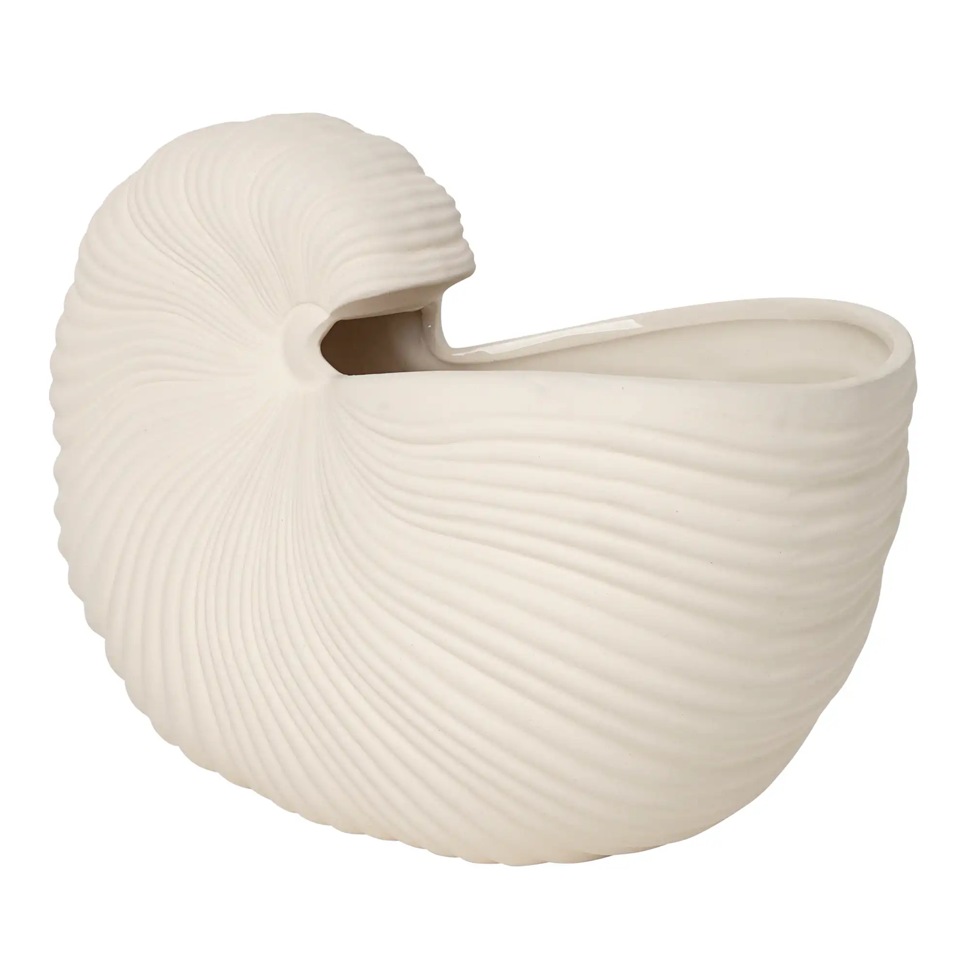 Shell Pot