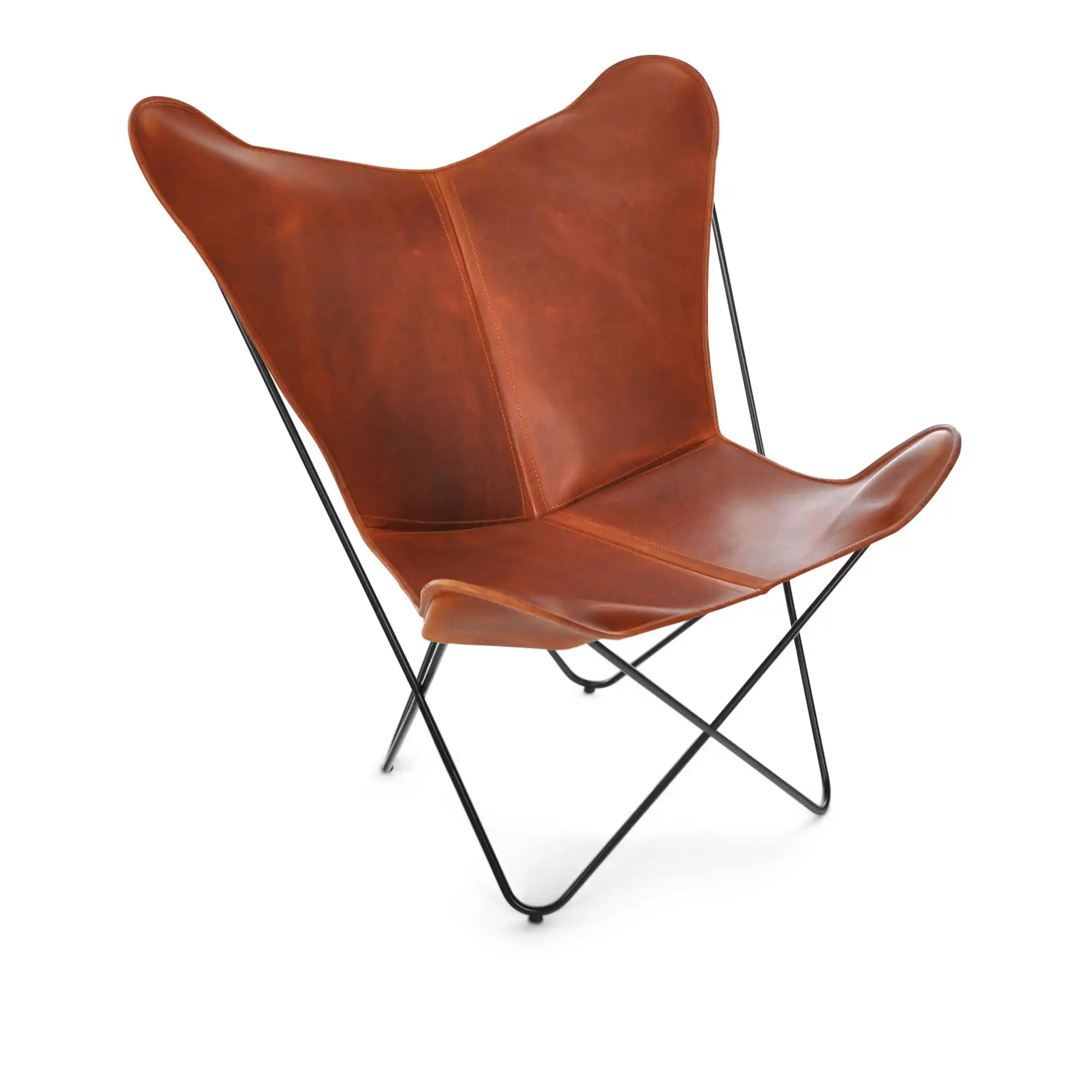 Papillon Chair, Black Steel Frame, Leather: Cognac