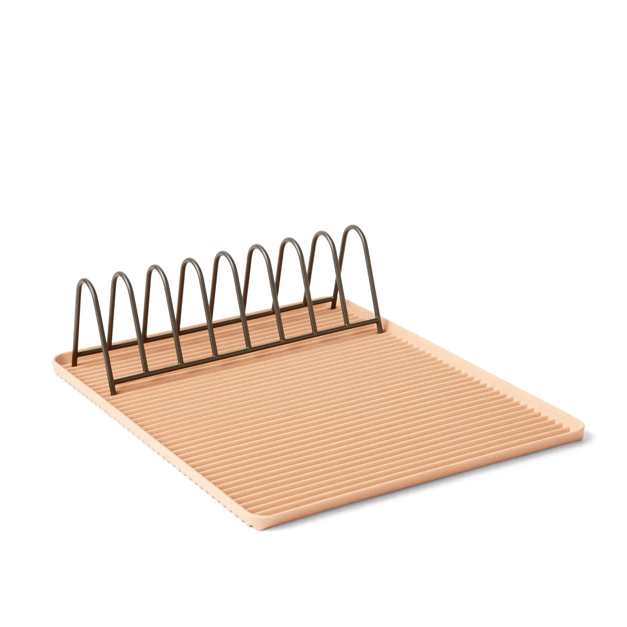 Dish Drainer Tray