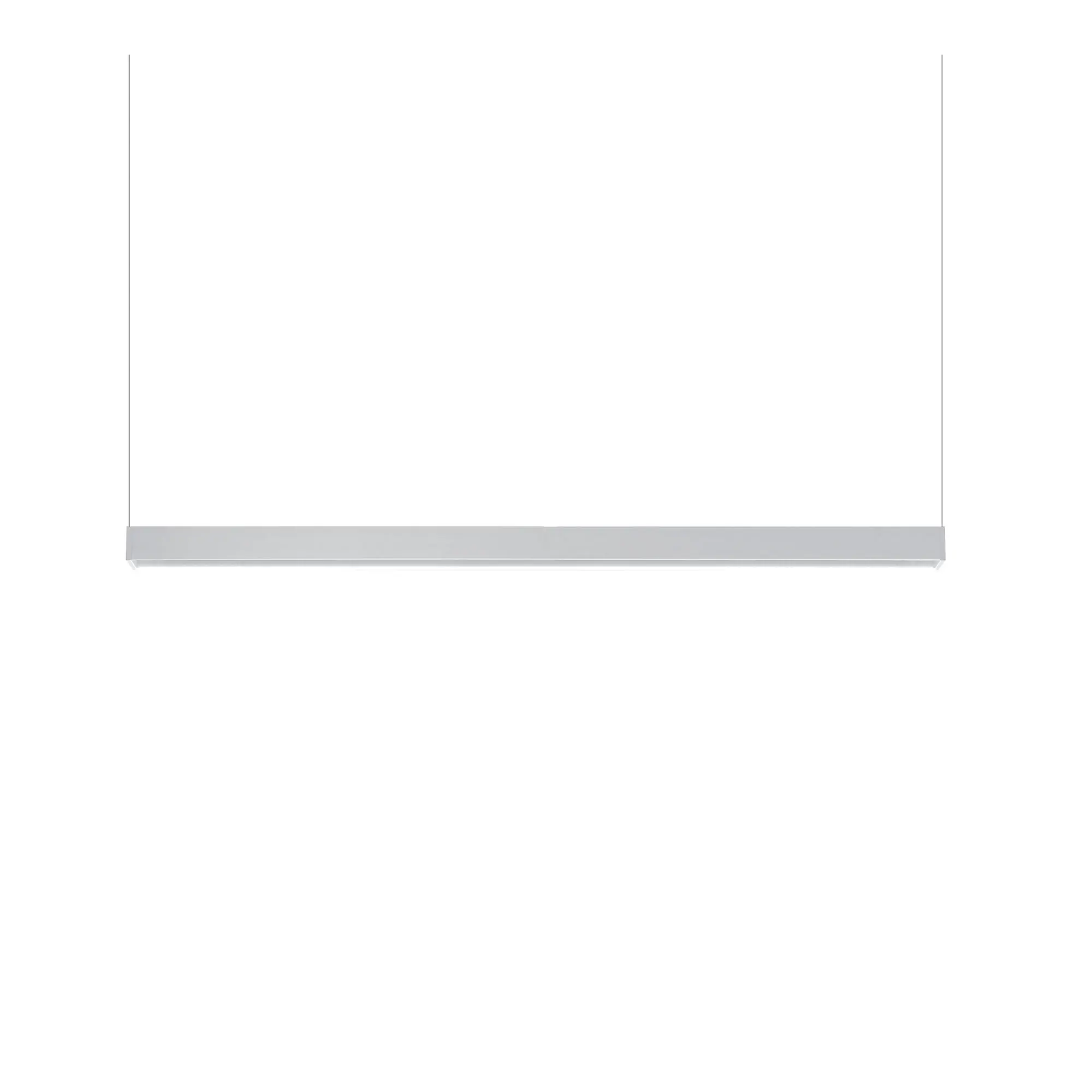 10213407