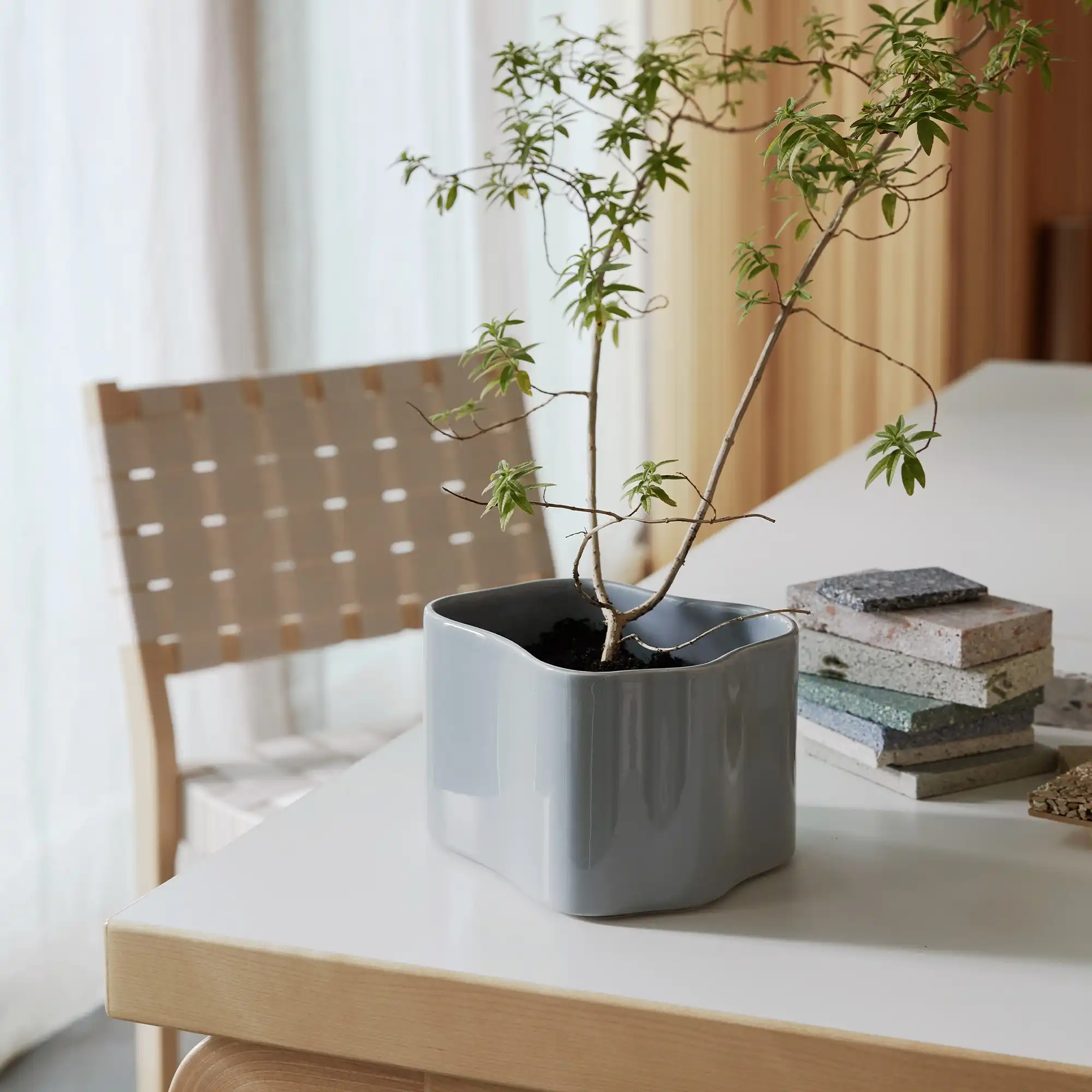 Riihitie blomkruka B Medium