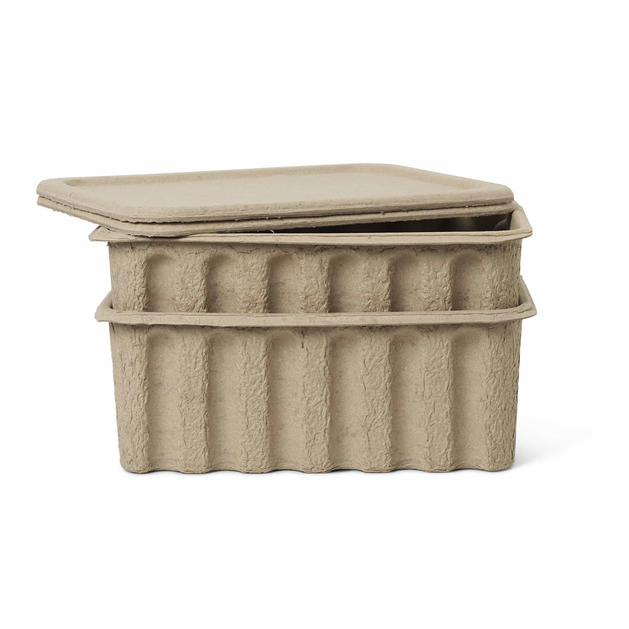 Paper Pulp Box 2-pack