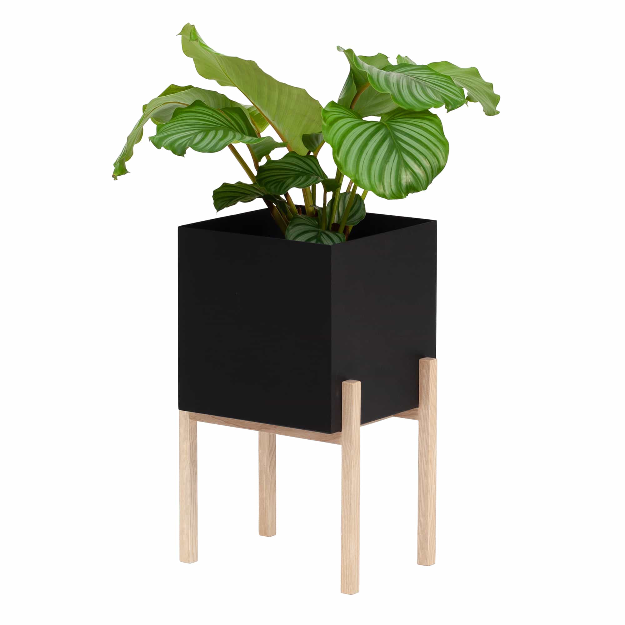 Botanic Pedestal Pot