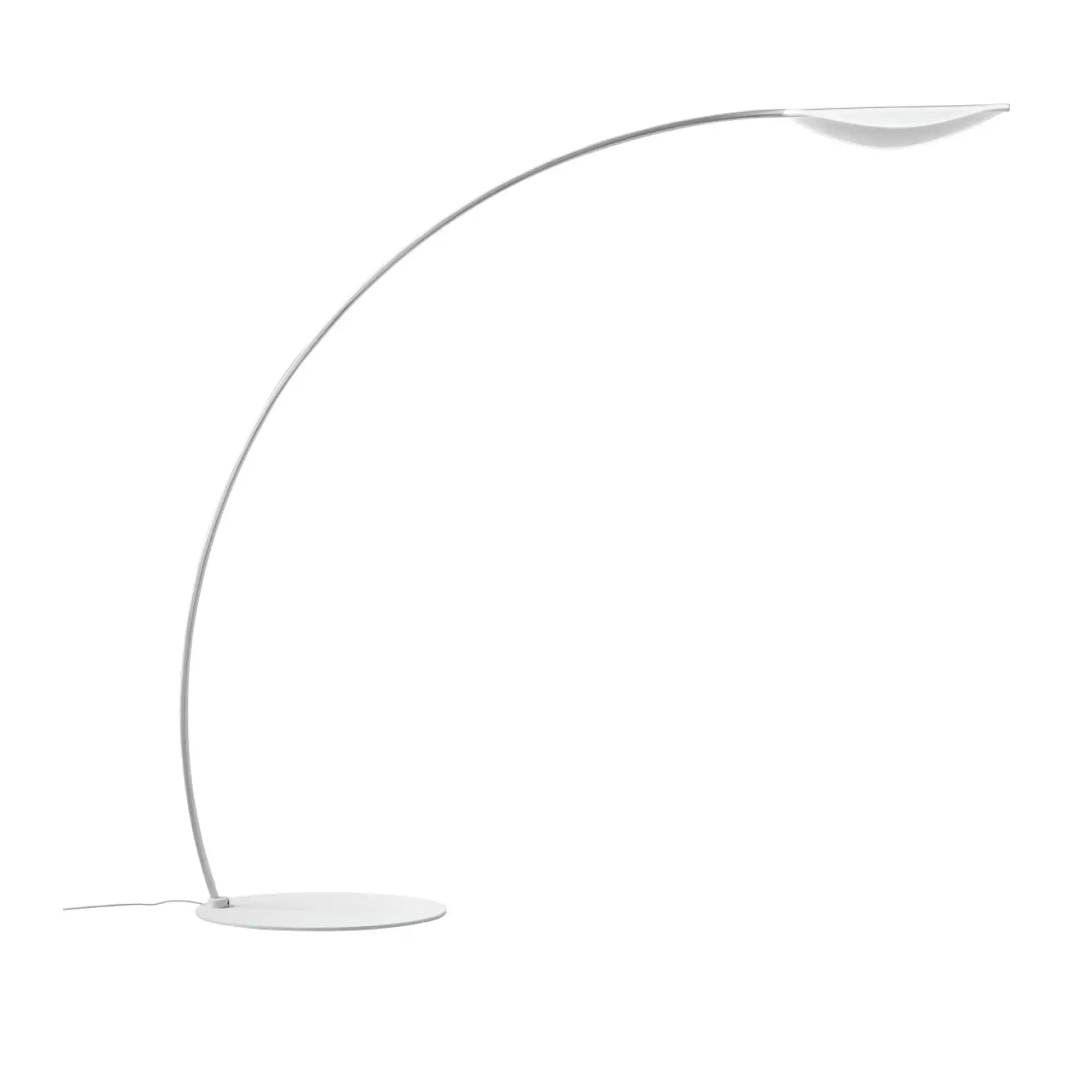 Diphy Floor Lamp