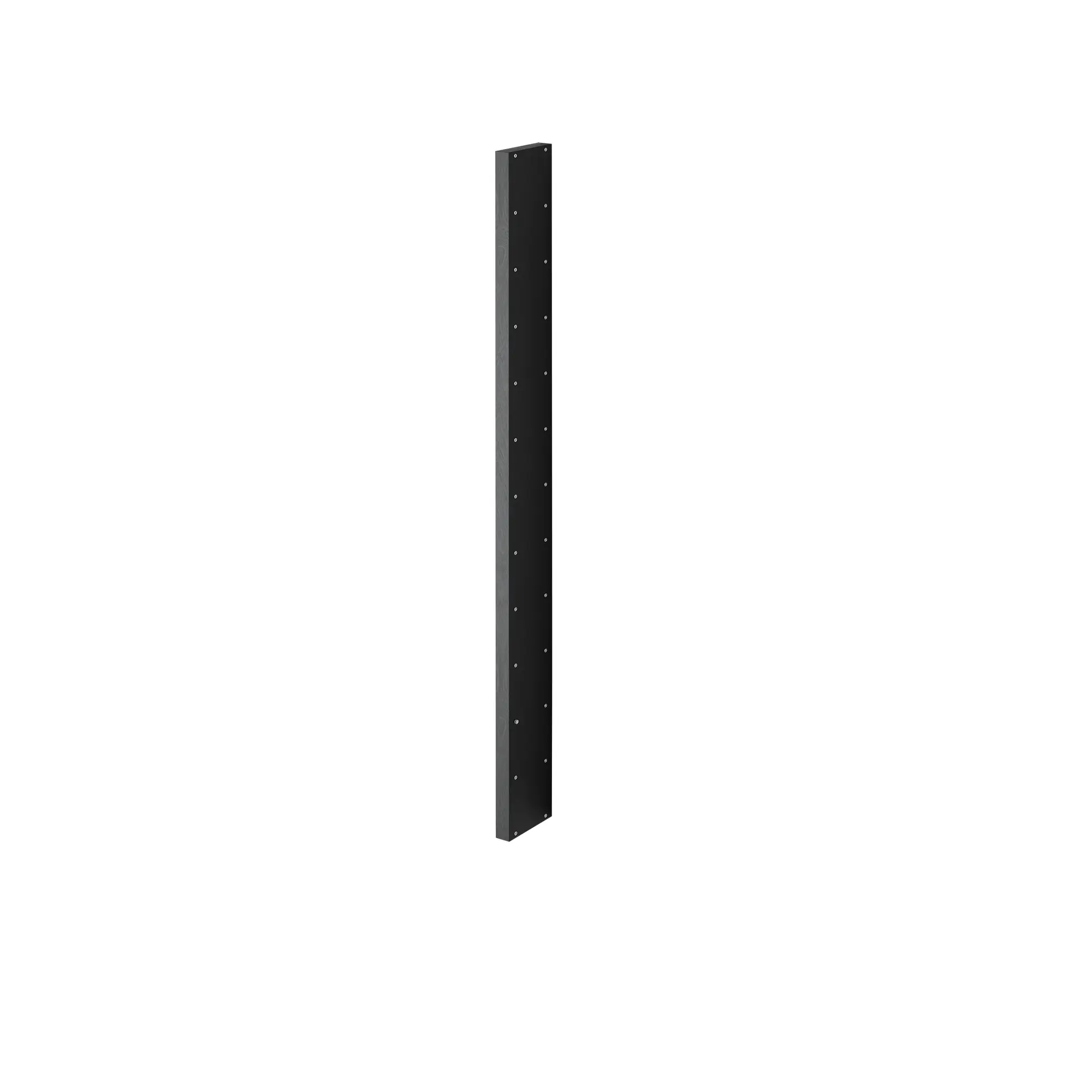 10736908__P_image_afdf79d5-2ac0-40e2-9157-d6f53d39de3c