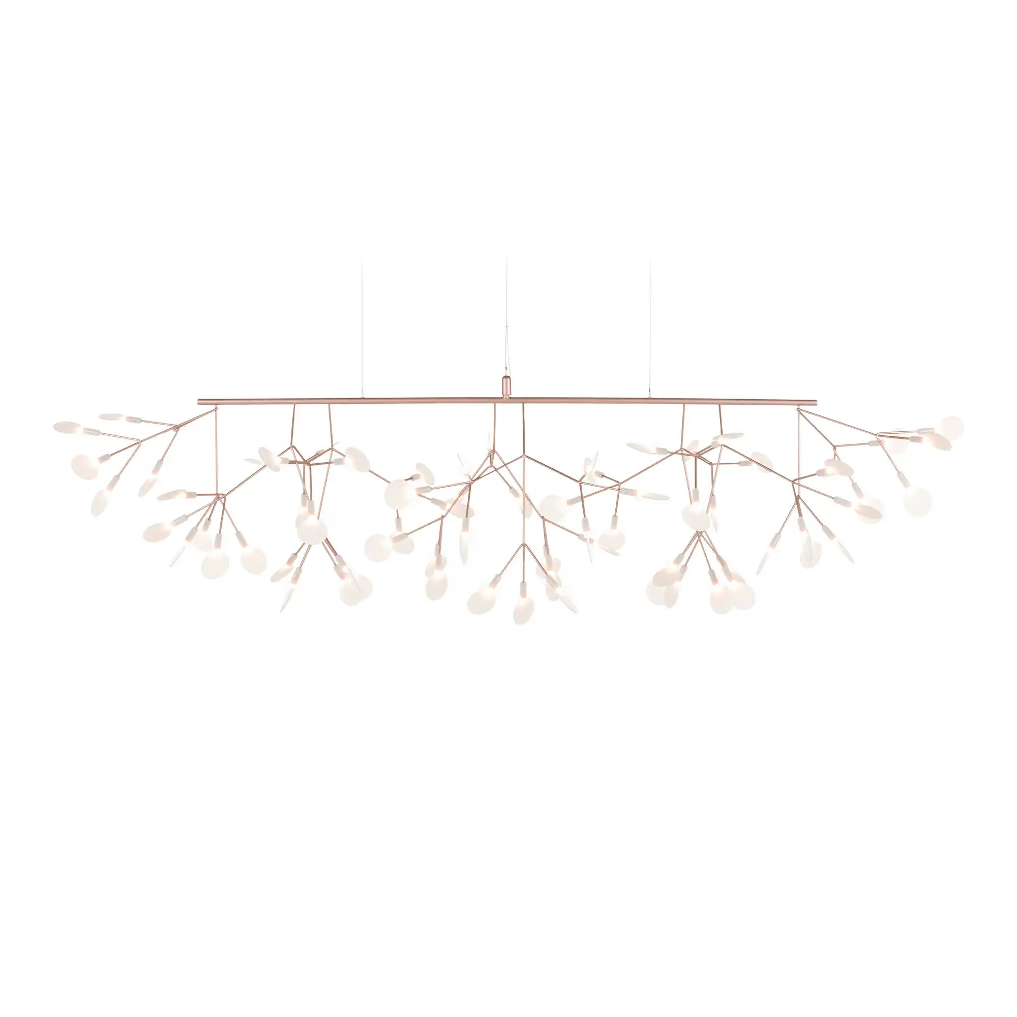 Heracleum III Linear