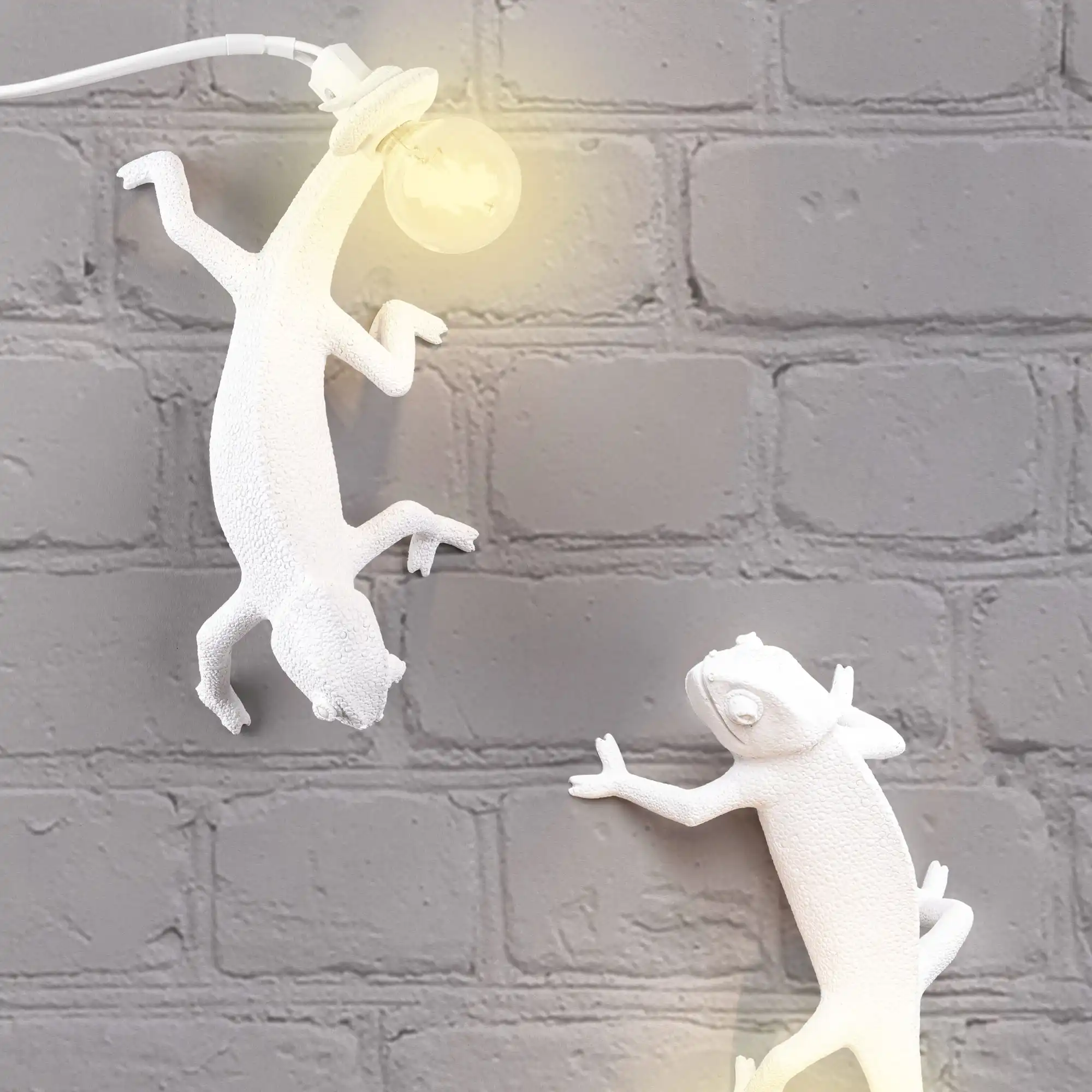 Chameleon Lamp