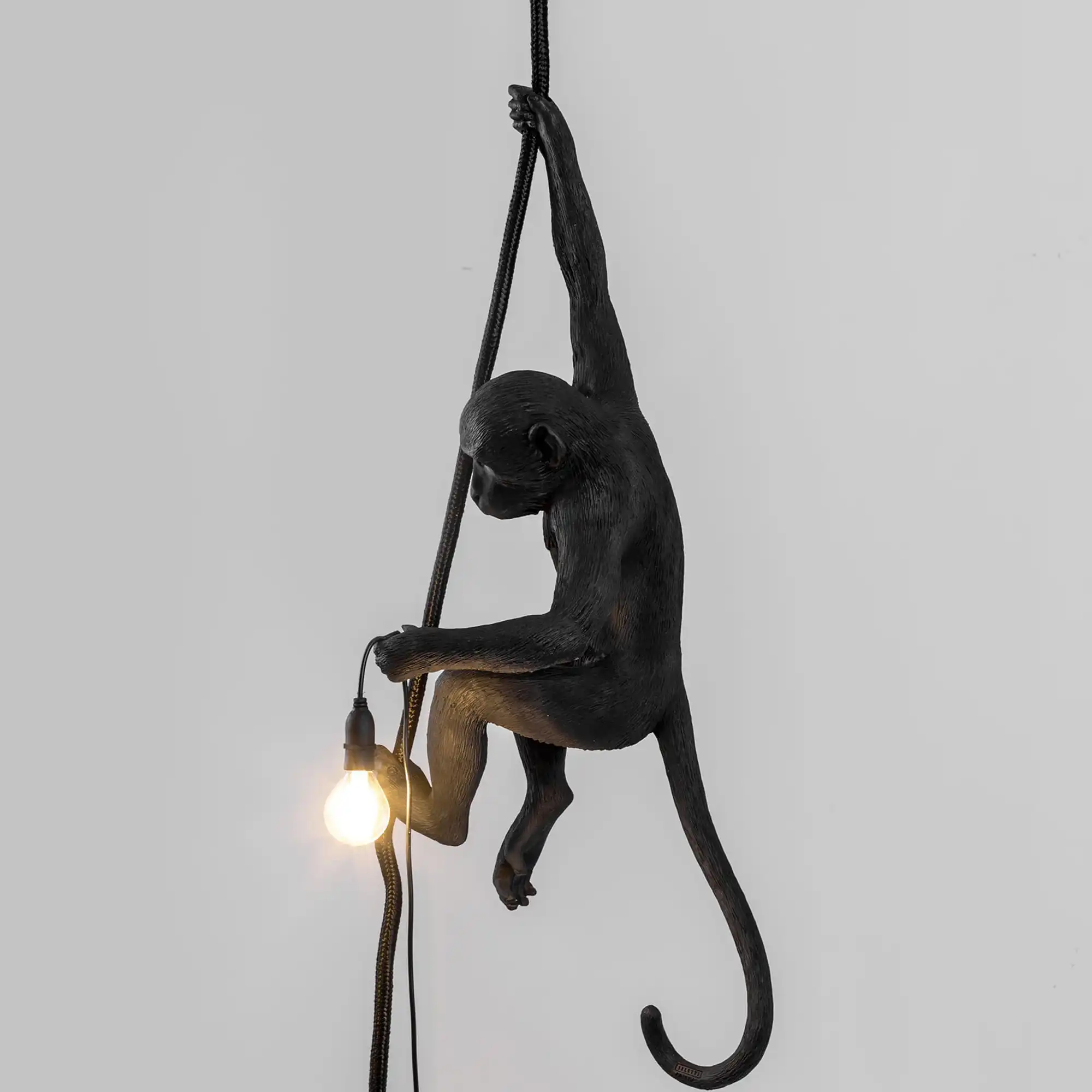 Monkey Lamp Outdoor Ceiling