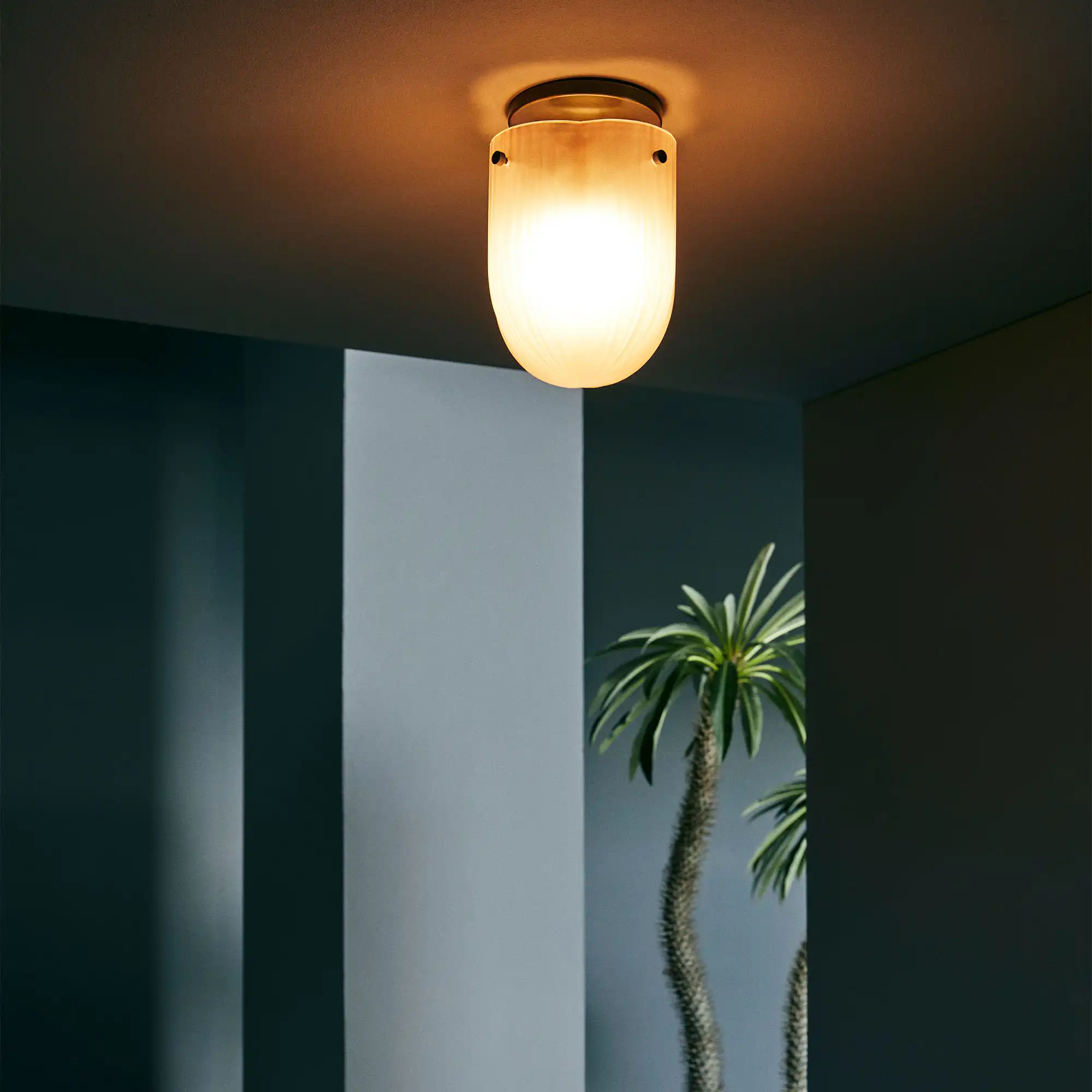 Seine taklampa