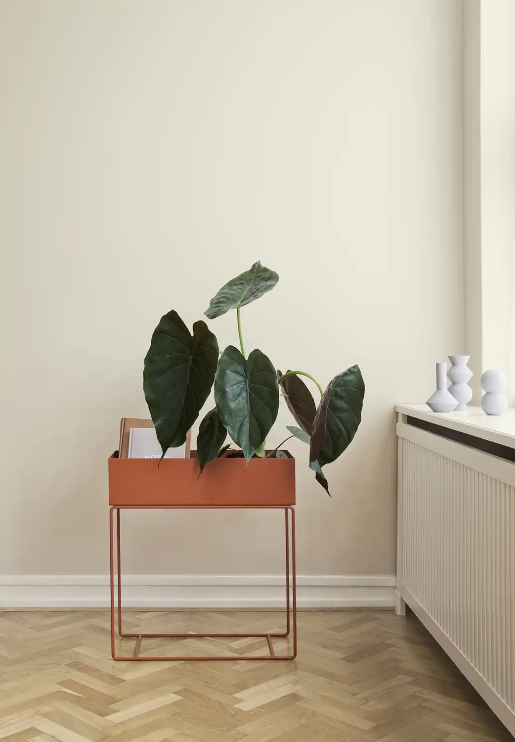 Plant Box Black