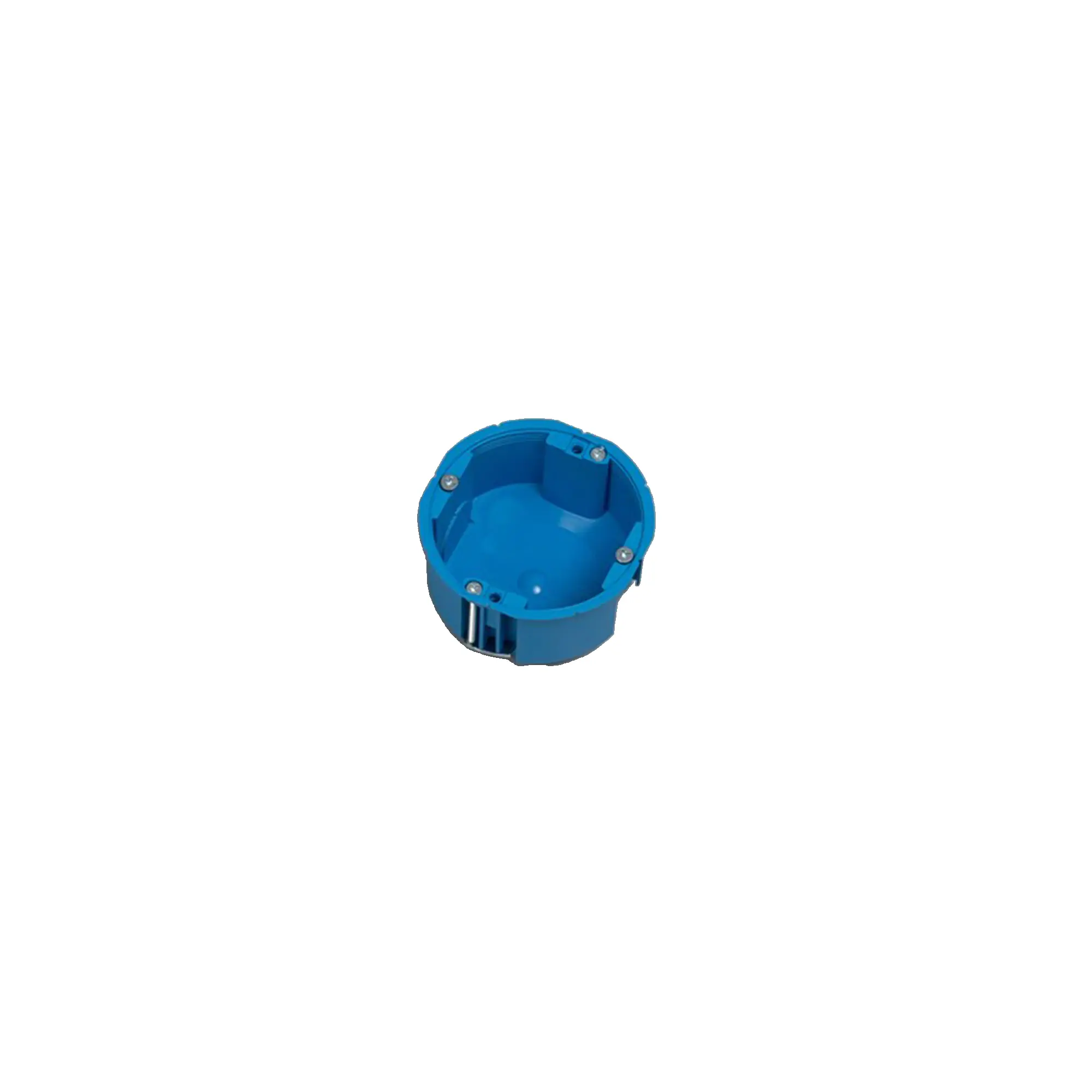 10746767__P_image_f6966cc8-9bb1-4688-95ac-0502f49089d6