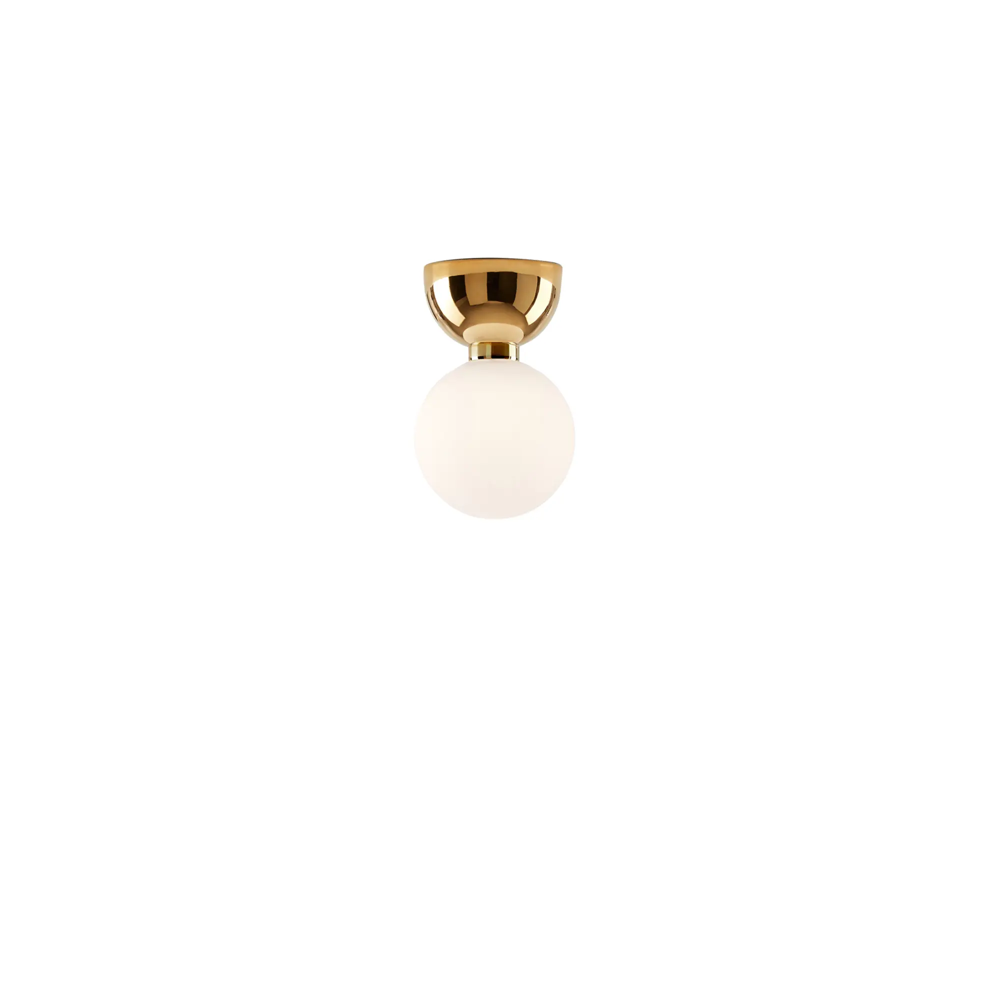 10693014