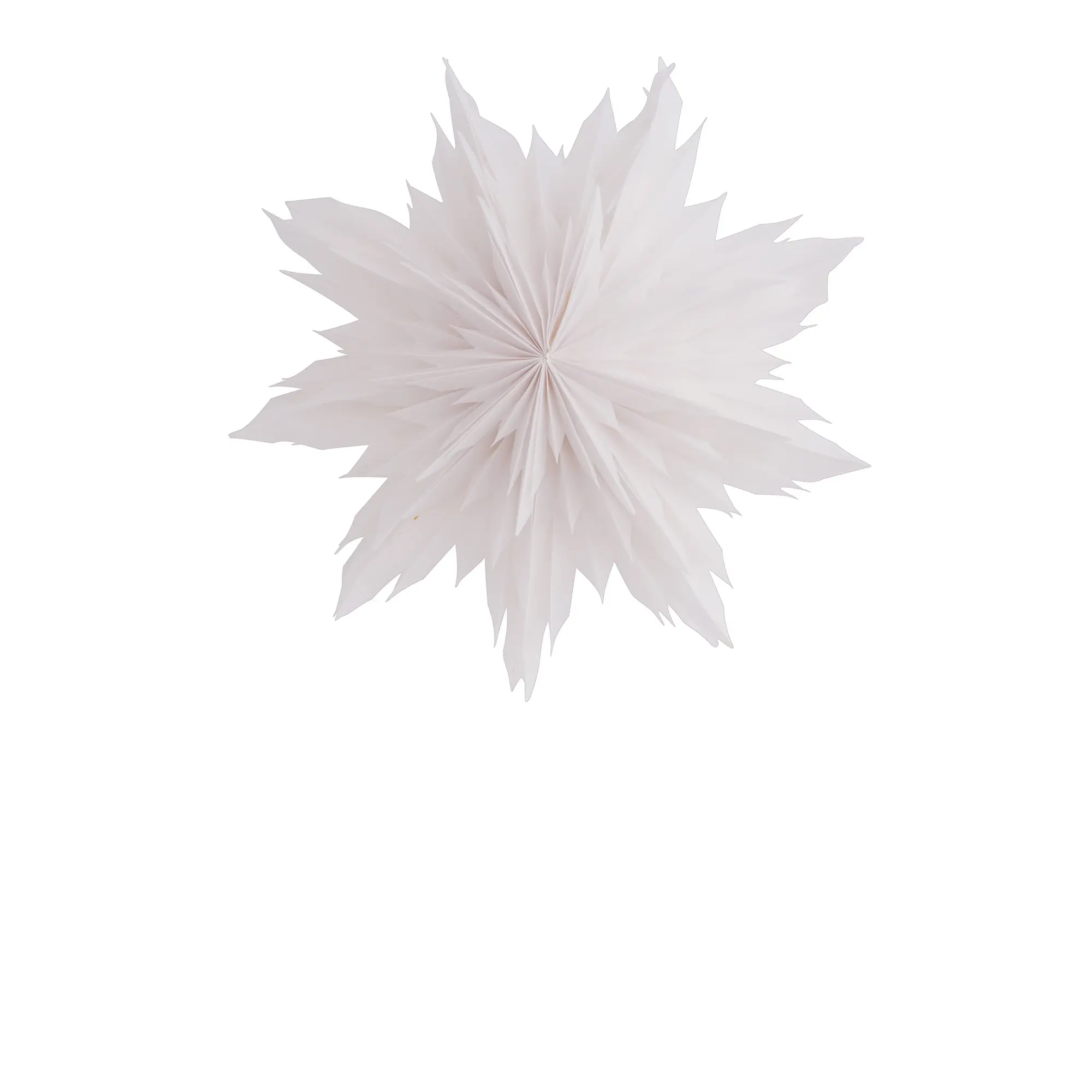 10749714__P_image_ff04d985-bfb0-49aa-bfeb-271aeb7a1efb